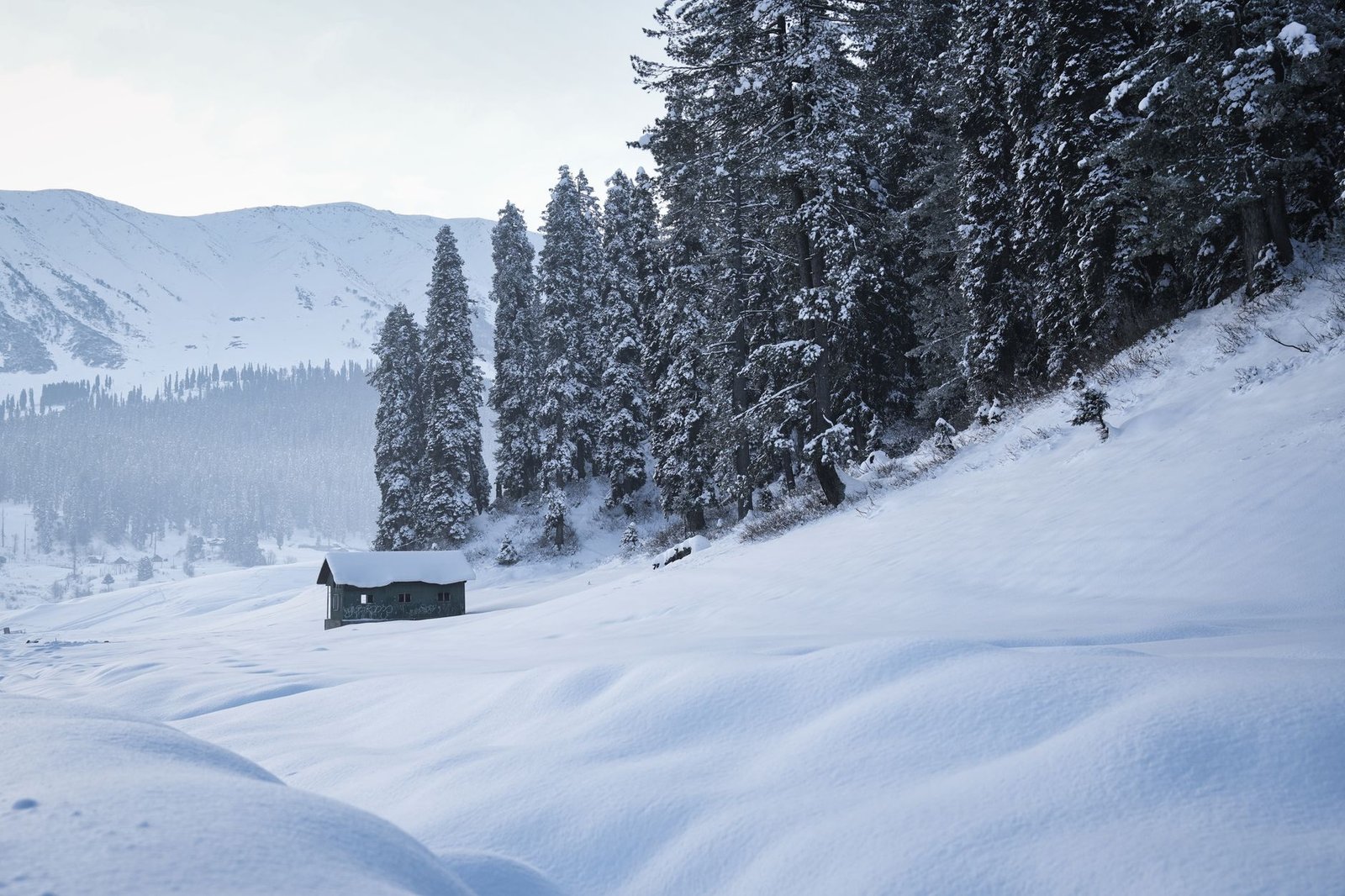 Snow ridge above Gulmarg