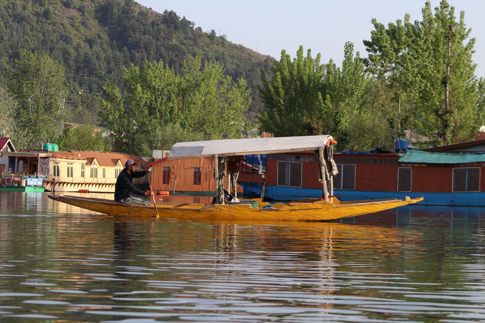 Shikara on Dal Lake at dawn