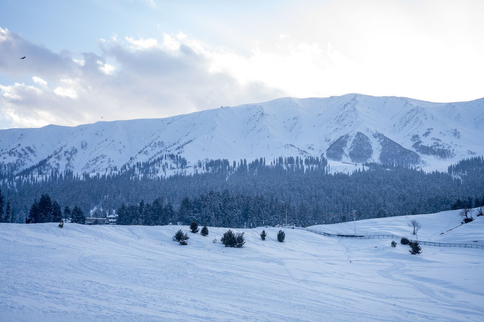 Gulmarg